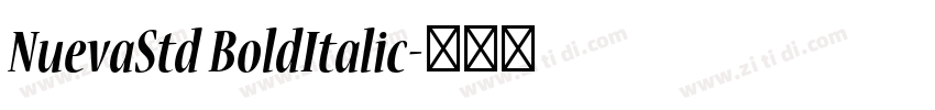 NuevaStd BoldItalic字体转换